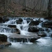 Kelly Kirkland's photo