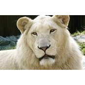 Yassin Reda's photo