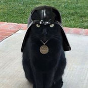 Foto von Fernandez Beatrice