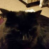Gayleane Overy's photo