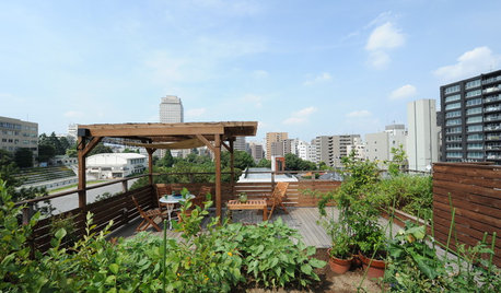 Best of the Week: 33 Gorgeous Gardens in the Sky