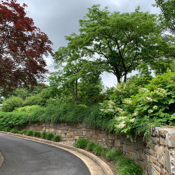 VA Garden's steep and long driveway