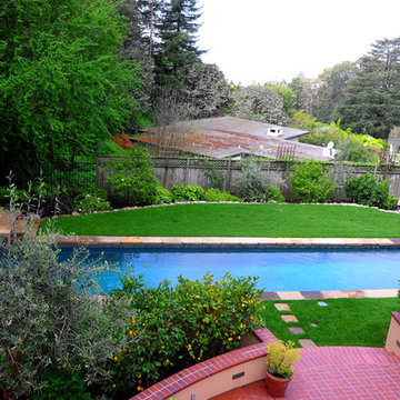 Contemporary Pool and Landscape