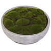 Artificial Fake Moss Arrangement, Round Stone Wash Cement Bowl