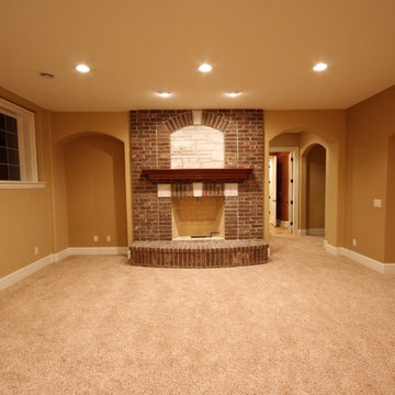 Lower Level Fireplace