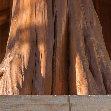 Snowy Elk Lodge | Exterior Flare Cut Logs