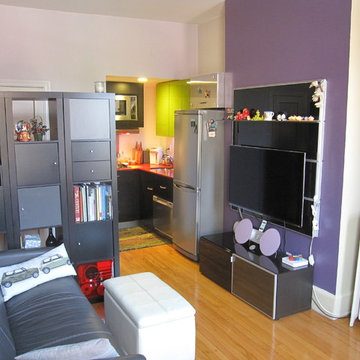 Boston Apartment Re-model