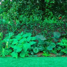 Austin Landscape Designers