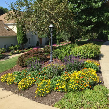 May Night Salvia, Mixican Gold Bidens and Orange Profusion Zinnias