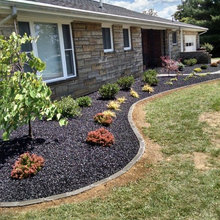 Front yard