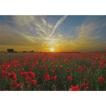 Sunset With Flowers Area Rug, 5'0"x7'0"