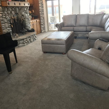 Stainmaster carpet style Hansel color Moondust