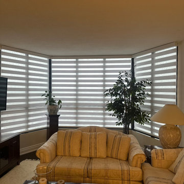 Chrome White Condo Zebra Blinds