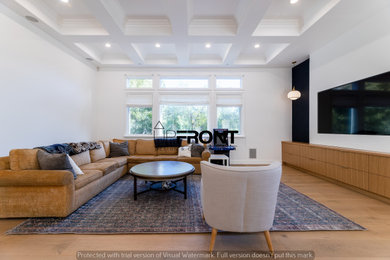 Living Room Design & Build