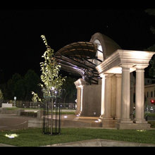 Winter Garden