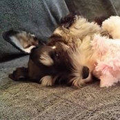 Georgina Stogios's photo