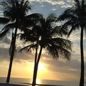 Lisa Shook's photo