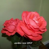 Janet Cooper's photo