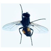 Bart Wauters's photo