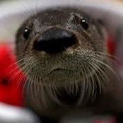 Mary Gough's photo