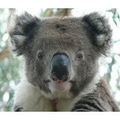 Michael Davidson's photo