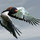 patrickcarter977