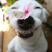 Brenda L Dickson's photo
