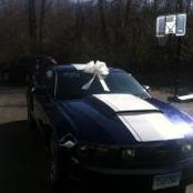 Jessica Sciarretto's photo