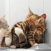 Tracy Warner's photo