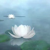 Ramesh Singh's photo