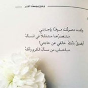 Ola Ossama's photo