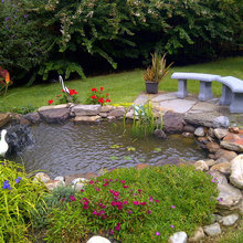 ponds
