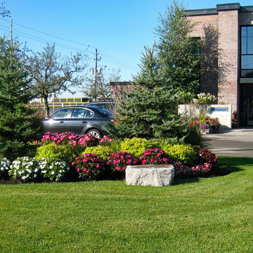 Planting and Maintenance