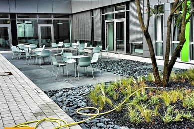 Landschaftsbau in Innenhöfen der Uniklinik Bonn per Autokran