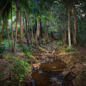 Montville Landscape