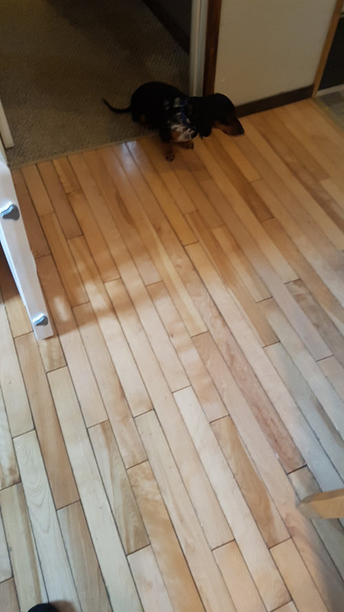 Help!!! LVP and different hardwood in the house what to do next?