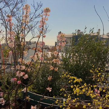 toit terrasse imaginé comme un jardin au dessus du Moulmin Rouge