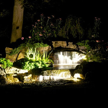 Landscape Lighting