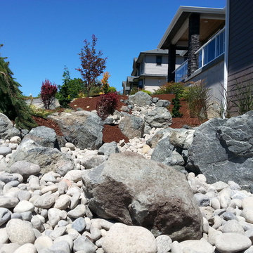 Dry Riverbeds