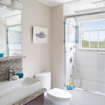Chestnut Hill Renovation