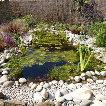 Wall Sculpture and Water Garden