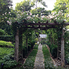 Rose Arbors