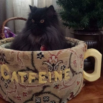 Cat Furniture