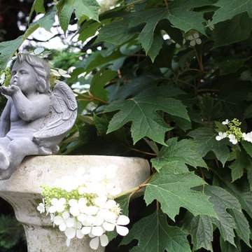 Traditional Elegance Combining an English and Natural Sensibility