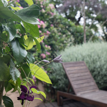 Noe Valley Condo