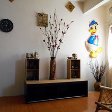 inai apt