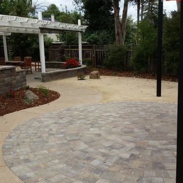 Drought Tolerant