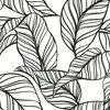 AST3786 Kagan Large Leaf Wallpaper in Black White Damask Overlap Lines Design