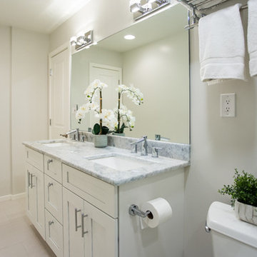 Reston Basement Bathroom Retreat