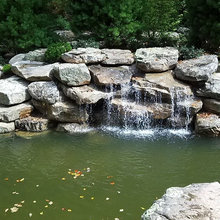 pond